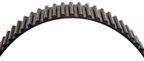 Gates T251RB Engine Timing Belt - view 5