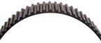 Gates T281RB Engine Timing Belt - view 4