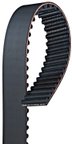 Gates T281 Engine Timing Belt - view 1