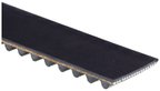 Gates T289 Engine Timing Belt - view 2