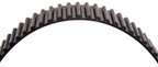 Gates T304RB Engine Timing Belt - view 6