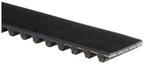 Gates T309 Engine Timing Belt - view 2