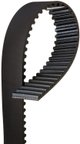 Gates T318 Engine Timing Belt - view 1