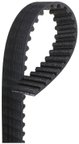 Gates T335 Engine Timing Belt - view 4