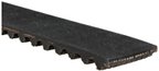 Gates T338 Engine Timing Belt - view 2