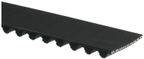 Roadmax TX249 Engine Timing Belt - view 1