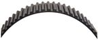 Roadmax TX249 Engine Timing Belt - view 3