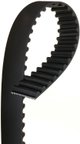 Roadmax TX249 Engine Timing Belt - view 2
