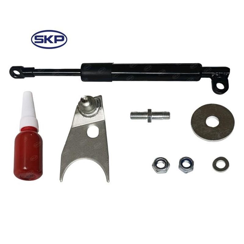 SKP SKDZ43100 Liftgate Lift Support