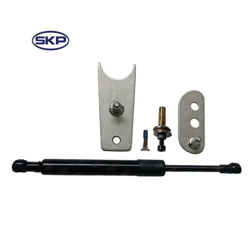 SKP SKDZ43105 Liftgate Lift Support