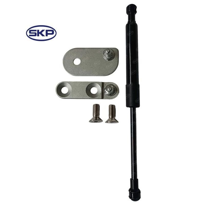 SKP SKDZ43206 Liftgate Lift Support