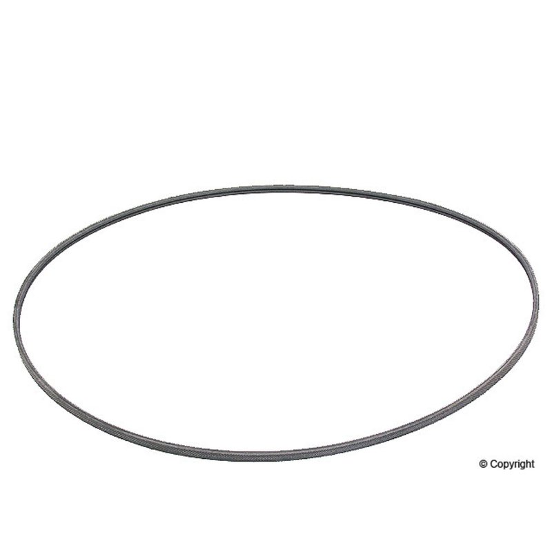Continental 2PJ800 Serpentine Belt - Fan