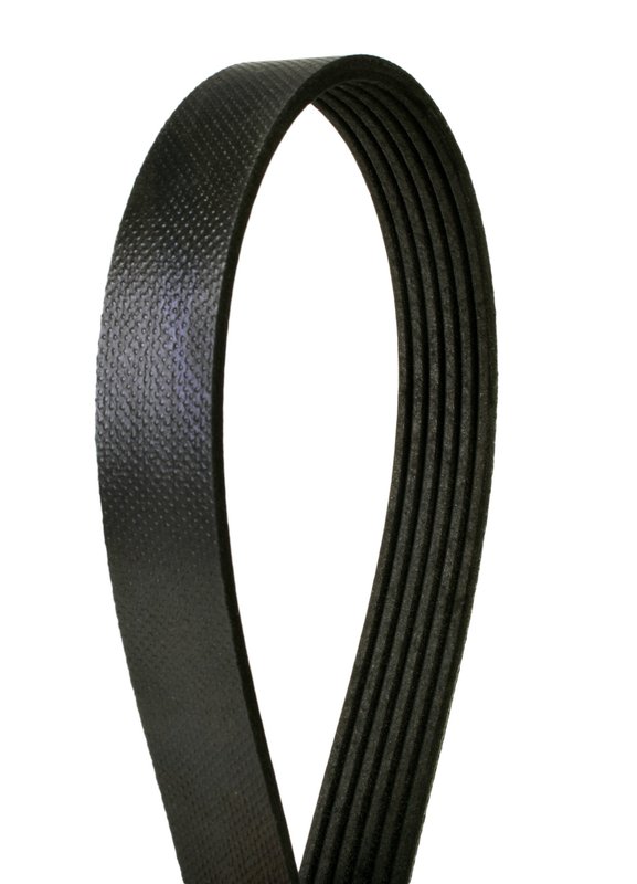 Continental 4060452 Serpentine Belt