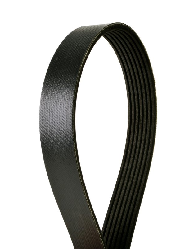 Continental 4070962 Serpentine Belt - Accessory Drive or Alternator