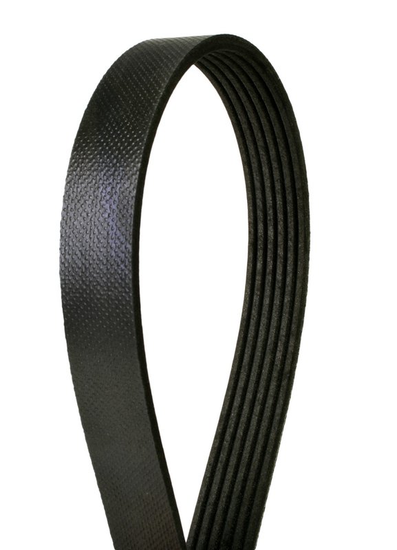 Continental 6K1885 Serpentine Belt - Accessory Drive