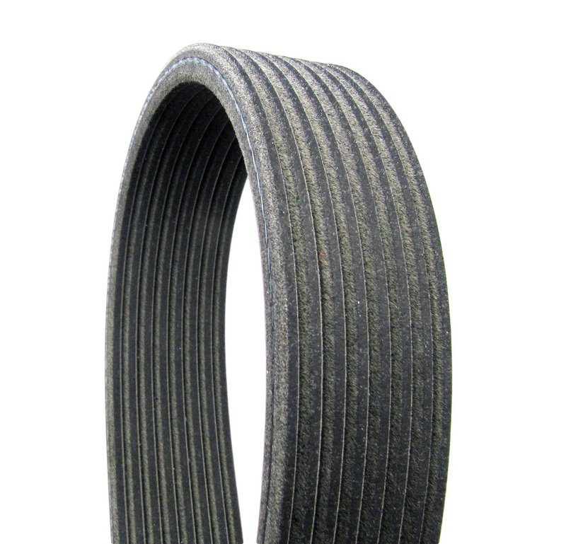 Continental D4080569 Serpentine Belt - Supercharger