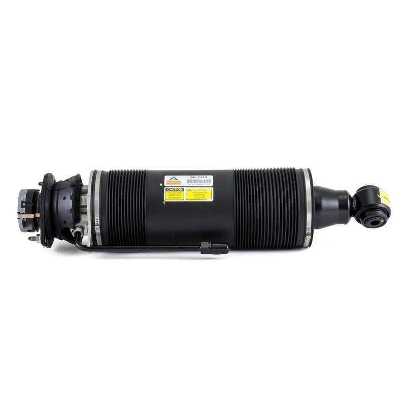 Arnott SK-2419 Suspension Strut - Rear Right