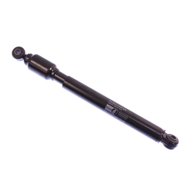 Bilstein 18-002461 Steering Damper - Front