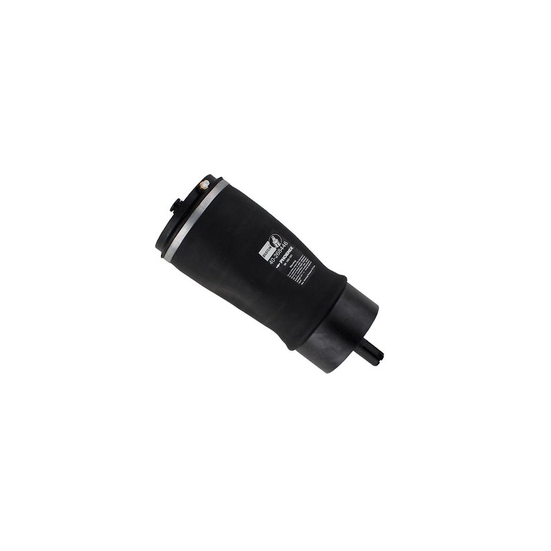 Bilstein 40-268446 Air Suspension Spring - Rear