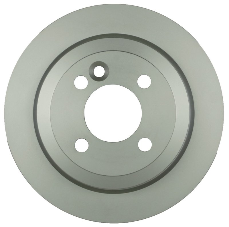 Bosch 15010110 Disc Brake Rotor - Rear