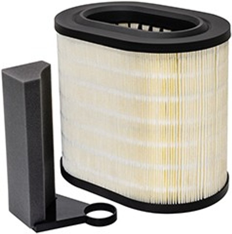 Baldwin PA10061 Engine Air Filter