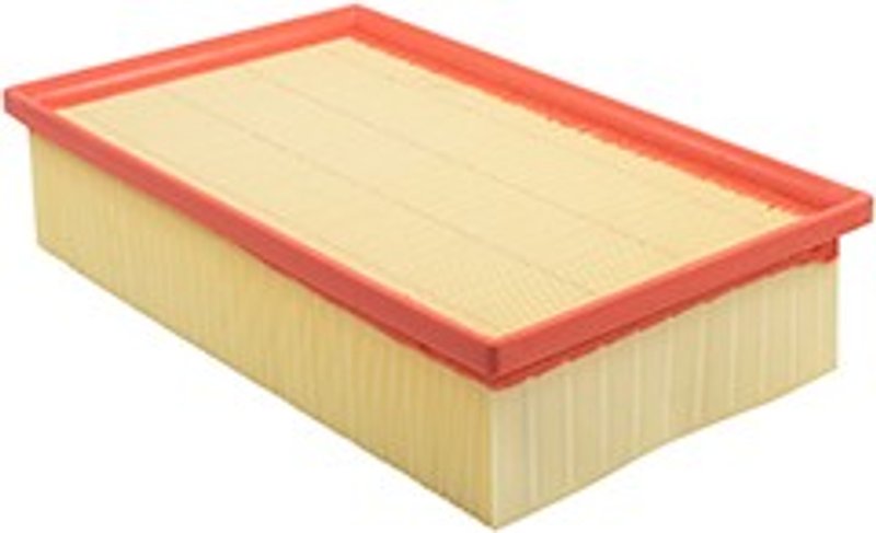 Baldwin PA10102 Air Filter