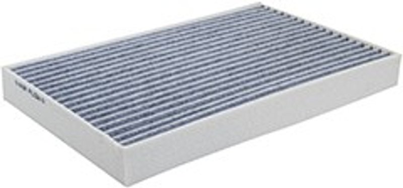 Baldwin PA10161 Cabin Air Filter