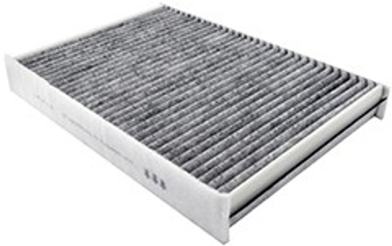 Baldwin PA10172 Cabin Air Filter