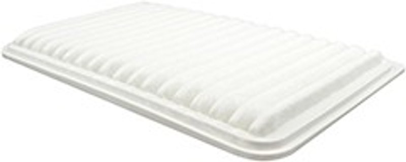 Baldwin PA10219 Air Filter