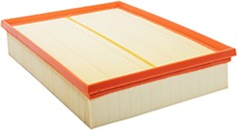 Baldwin PA10302 Air Filter
