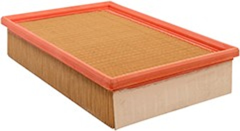 Baldwin PA10316 Air Filter