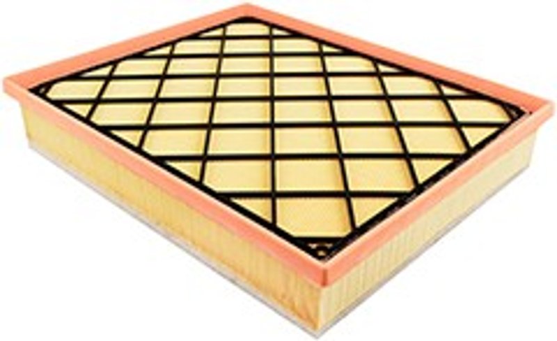 Baldwin PA10335 Engine Air Filter