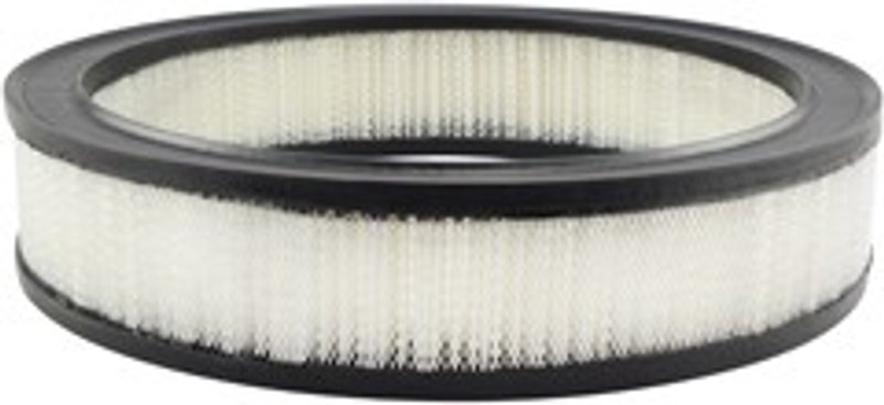 Baldwin PA2006 Air Filter