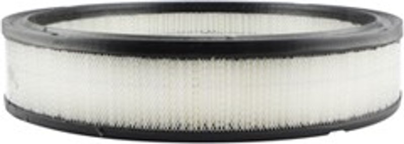 Baldwin PA2009 Air Filter