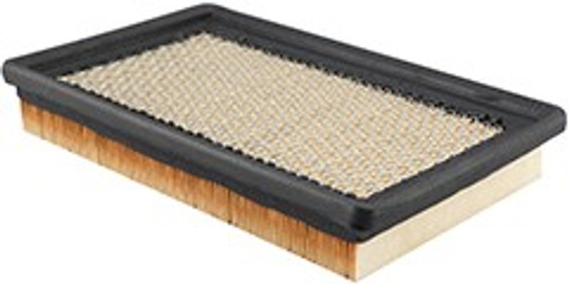 Baldwin PA4079 Air Filter