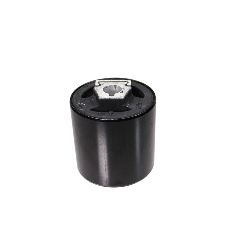 Rein AVB0449 Suspension Control Arm Bushing - Front Lower Inner Forward