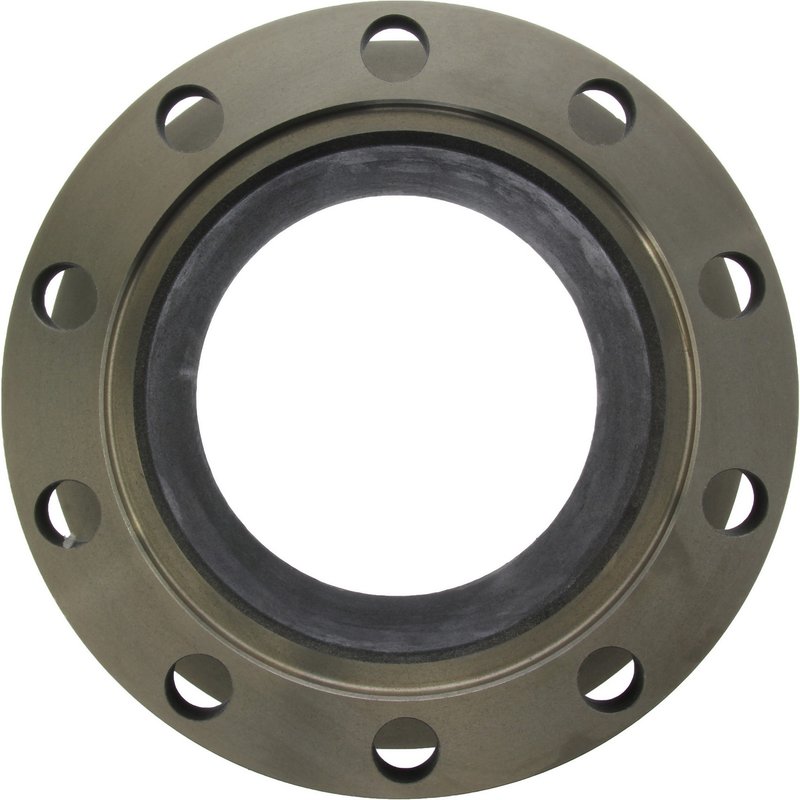 Centric 121.84003 Disc Brake Rotor - Rear