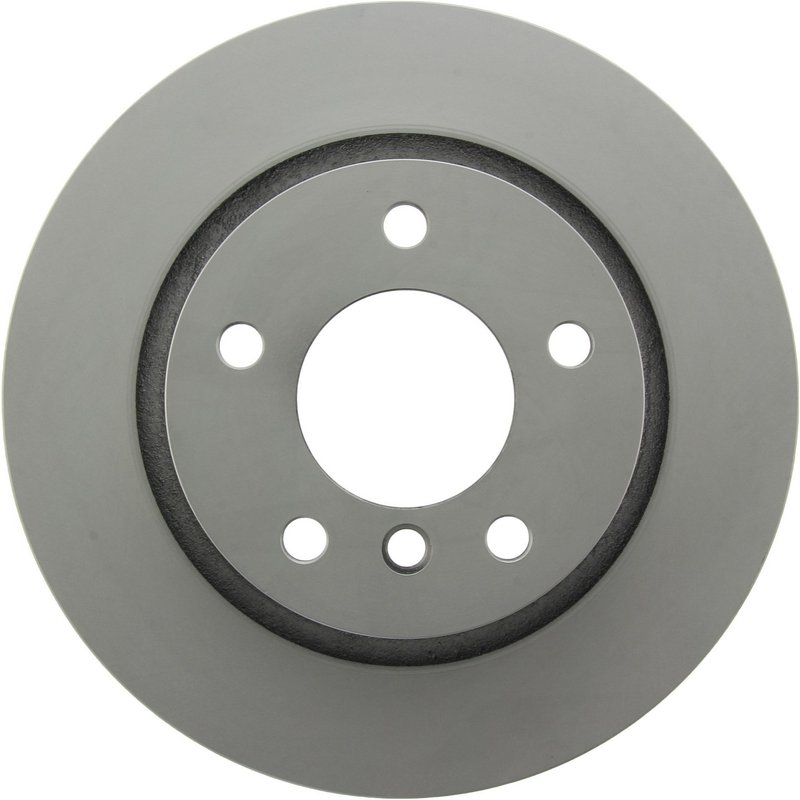 Centric 320.34049F Disc Brake Rotor - Rear