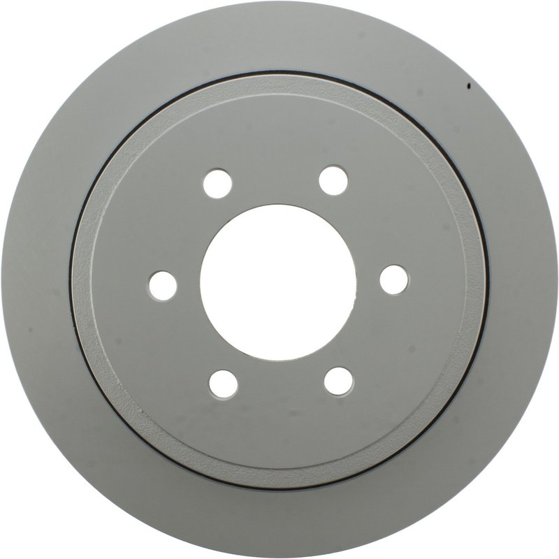 Centric 320.65095F Disc Brake Rotor - Rear