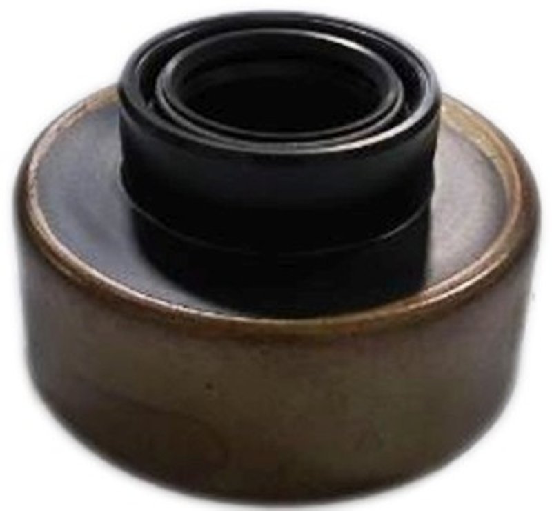 SKF 11619 Manual Transmission Seal - Rear