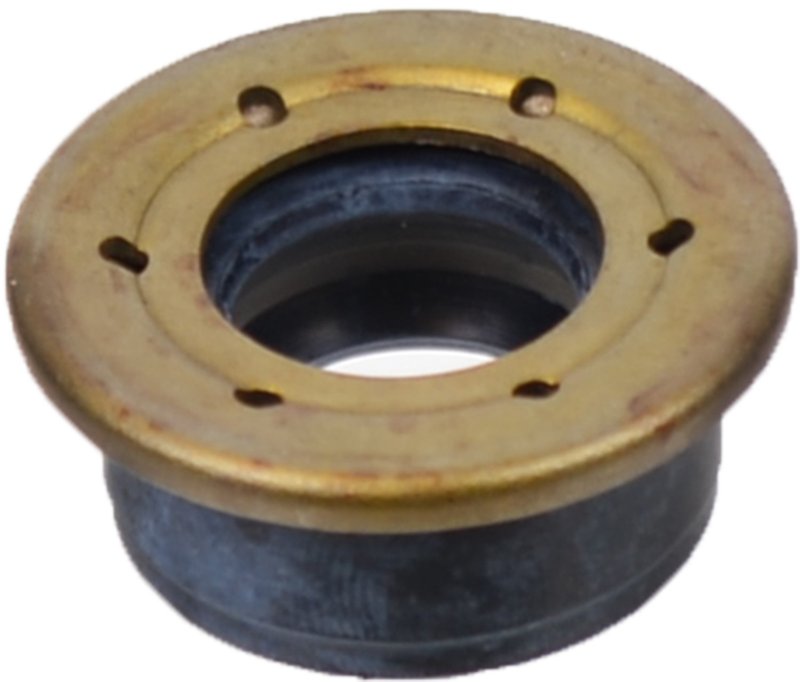 SKF 5553 Manual Transmission Extension Housing Seal - Rear