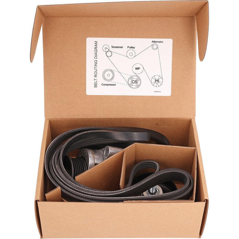Cloyes B40239 Accessory Drive Belt Kit