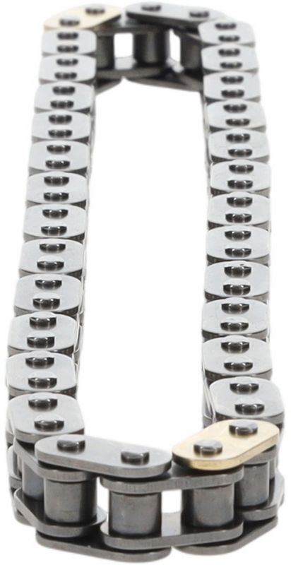 Cloyes C554 Engine Timing Chain - Upper