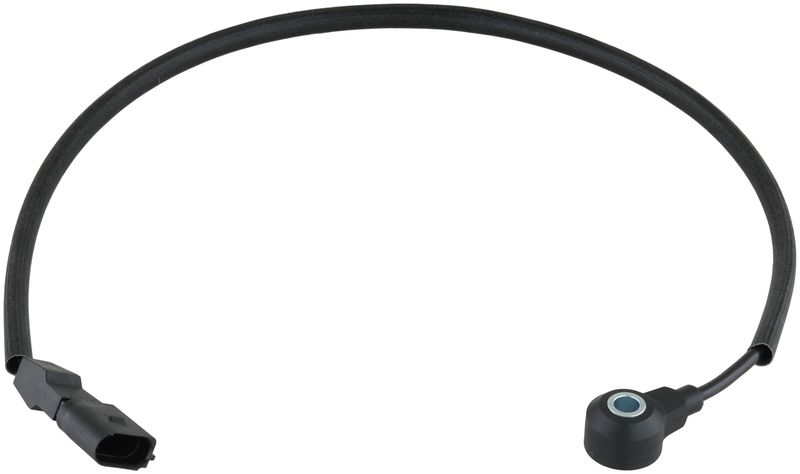 Delphi AS10311 Ignition Knock (Detonation) Sensor