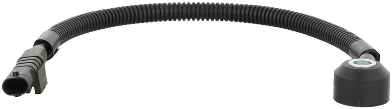 Delphi AS10361 Ignition Knock (Detonation) Sensor
