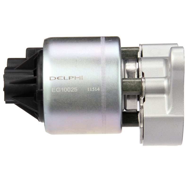 Delphi EG10025 EGR Valve