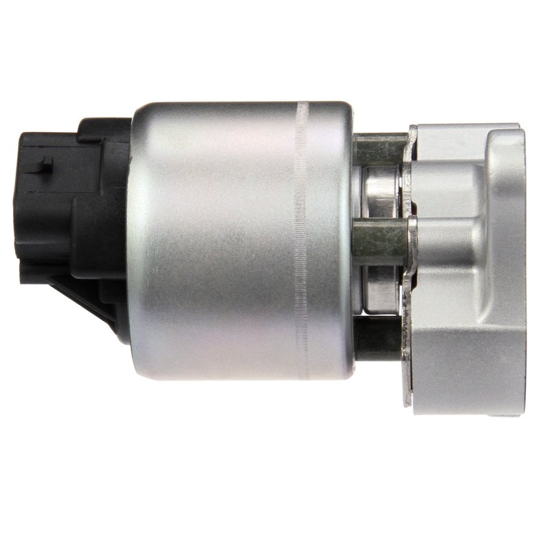 Delphi EG10031 EGR Valve