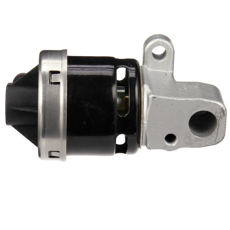 Delphi EG10172 EGR Valve