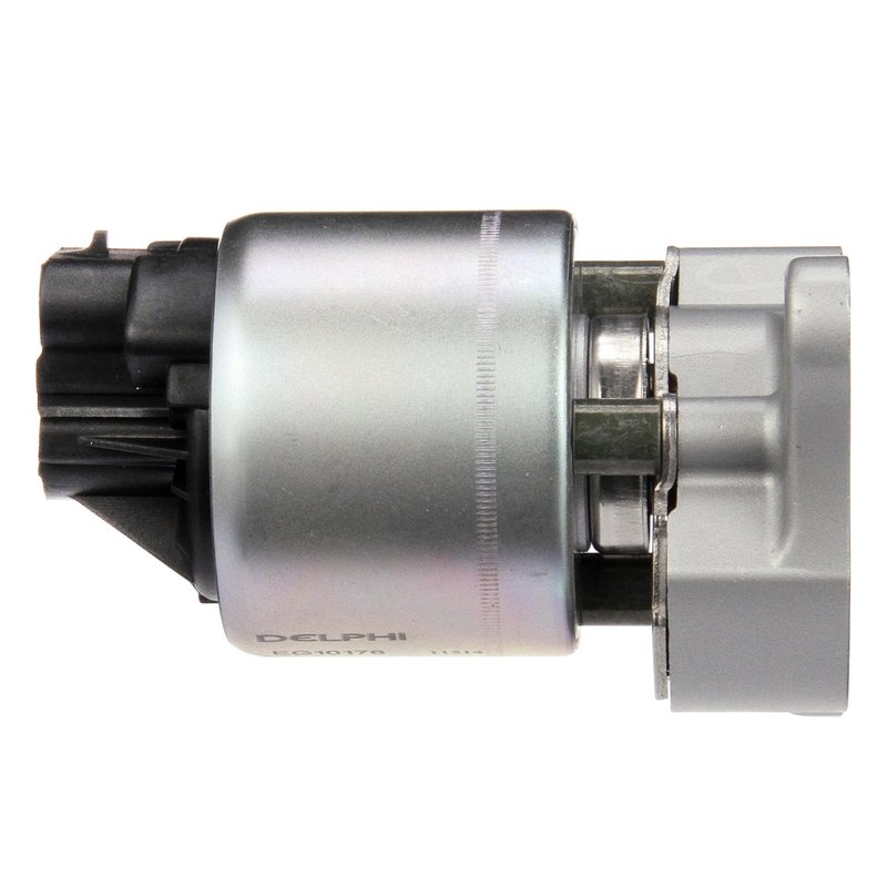 Delphi EG10176 EGR Valve