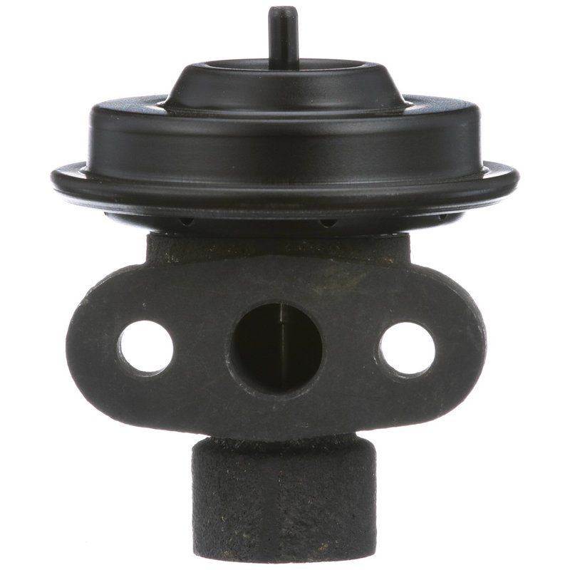 Delphi EG10244 EGR Valve